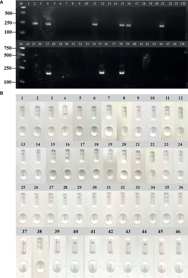 Figure 7