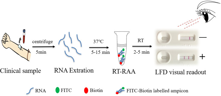 Figure 1