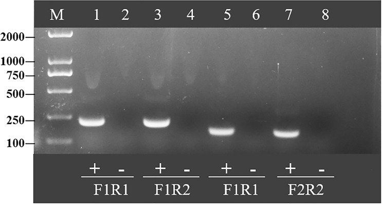 Figure 2