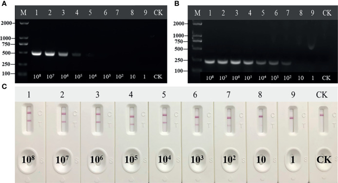 Figure 4