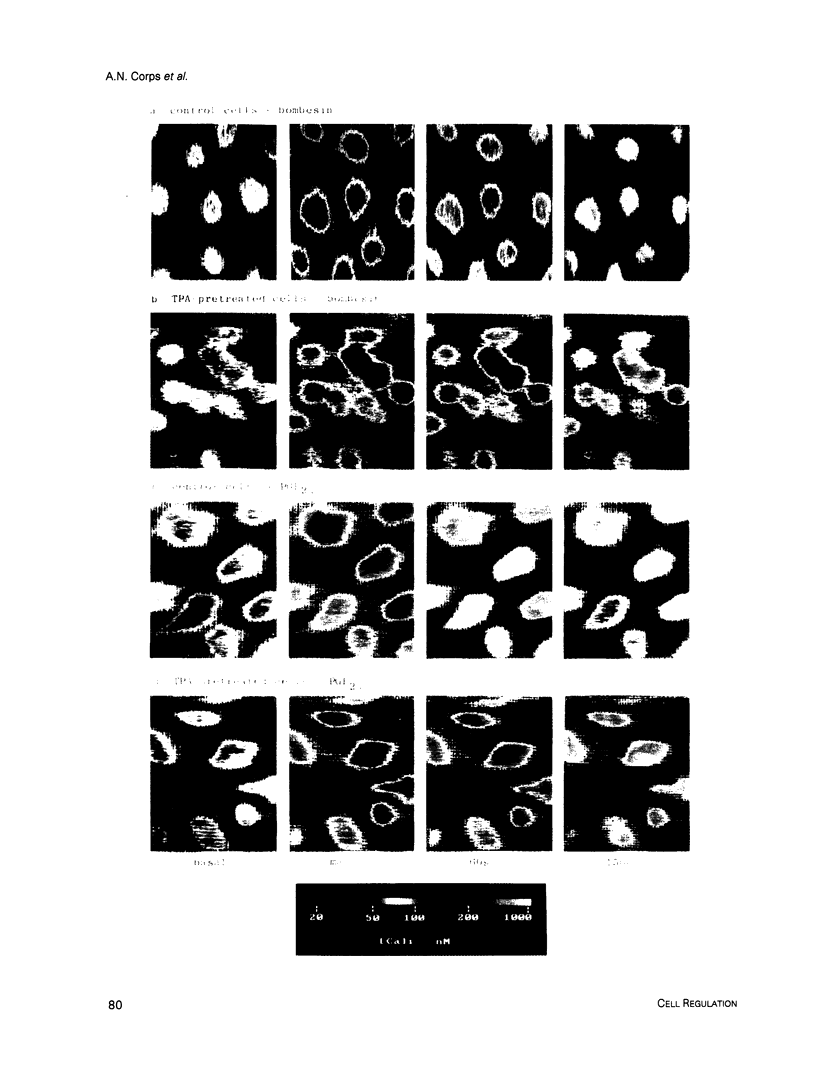 80
