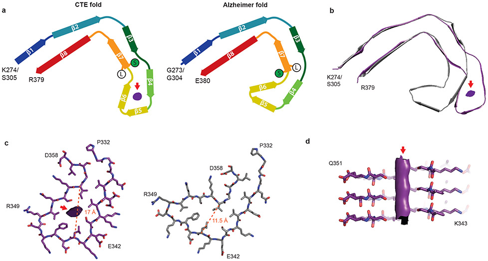 Figure 3: