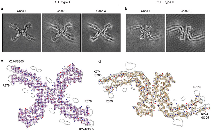 Figure 2: