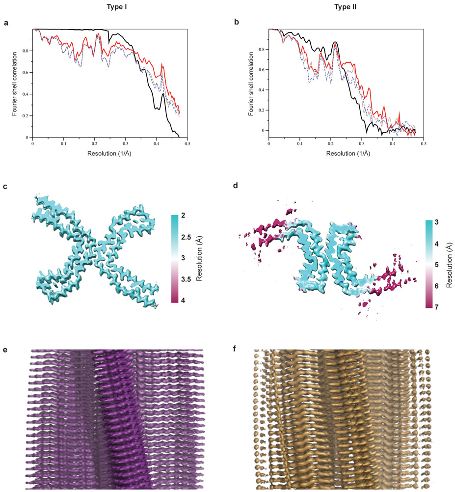 Extended Data Figure 4: