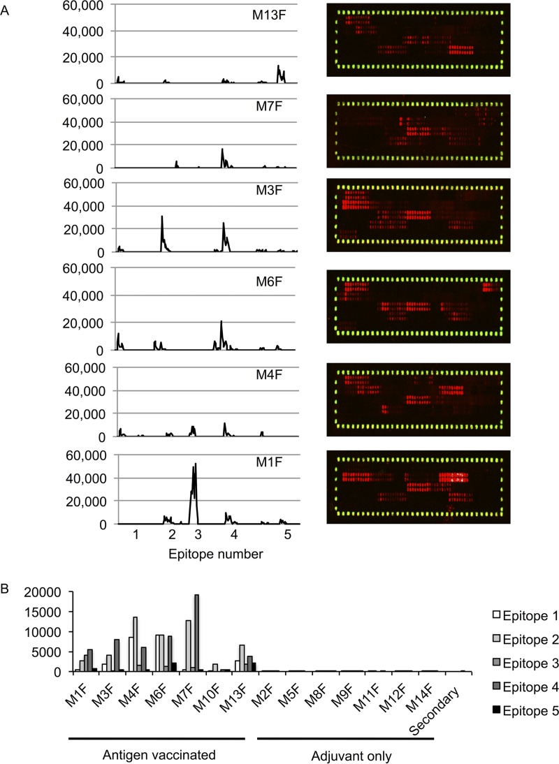 FIG 1