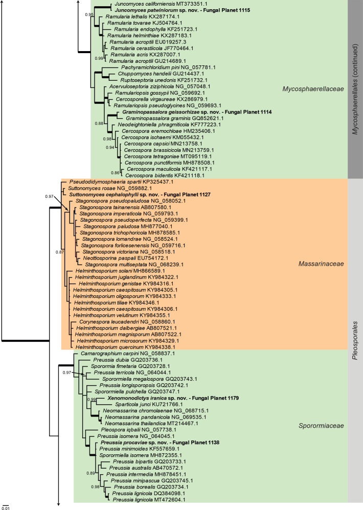 
Overview
Dothideomycetes
phylogeny – part 1
