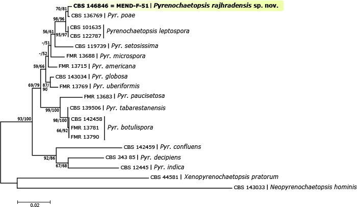 graphic file with name per-2020-45-10-g088.jpg