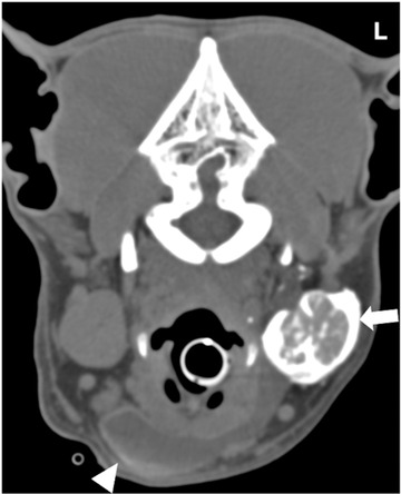 FIGURE 3
