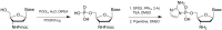Chemical structure 1.