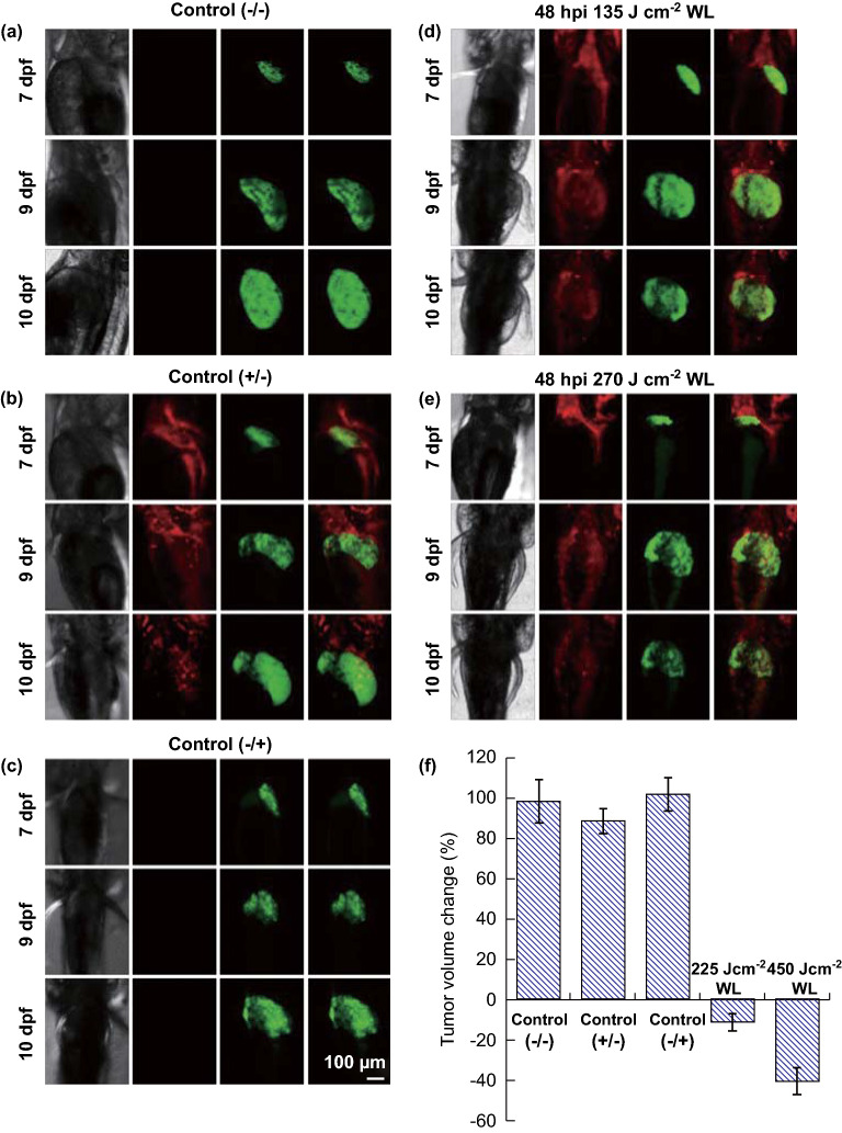 Fig. 4