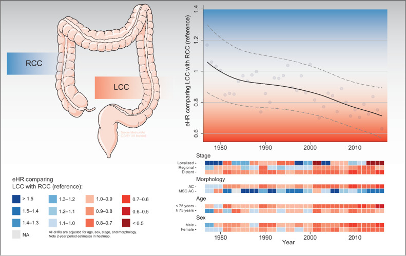 Figure 5. Graphical abstract summarizing main survival trends comparing LCC with RCC (reference). Top right, the overall eHRs changing over time, including yearly estimates (bullets) and a locally weighted scatterplot smoothing trend line with 95% CIs. Bottom right, estimated eHR changing over time within different subgroups, including heatmaps stratified for stage, morphology, age, and sex. NA, not available; AC, adenocarcinomas. Medical art in the top left panel was adapted from Servier Medical Art by Servier, licensed under a Creative Commons Attribution 3.0 Unported License.