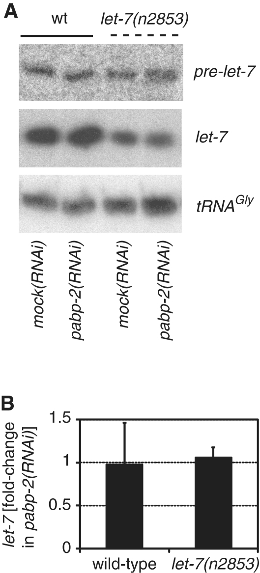 Figure 7.