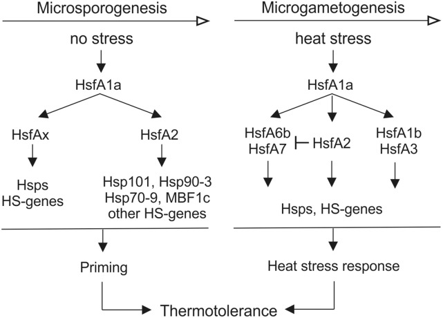 Figure 10.