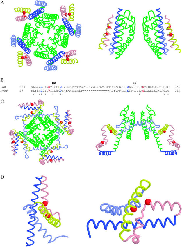 FIGURE 12