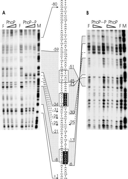 FIG. 6.