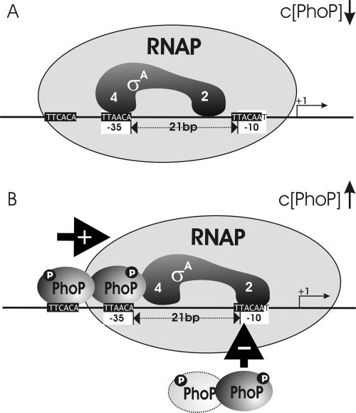 FIG. 9.