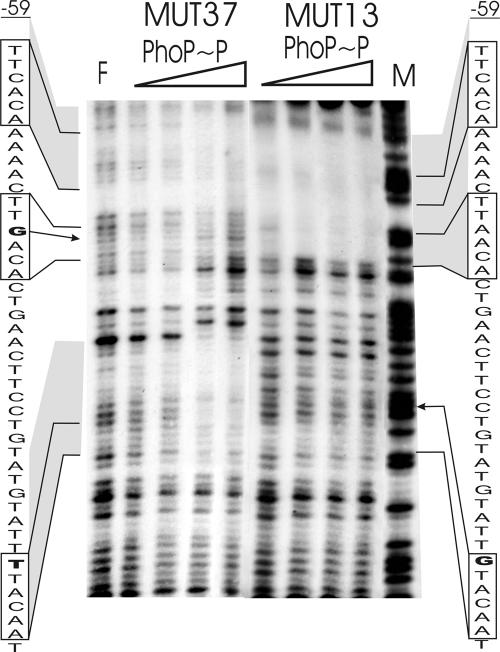 FIG. 8.