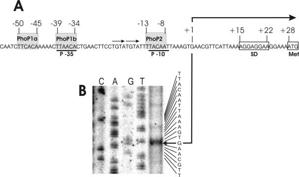 FIG. 1.