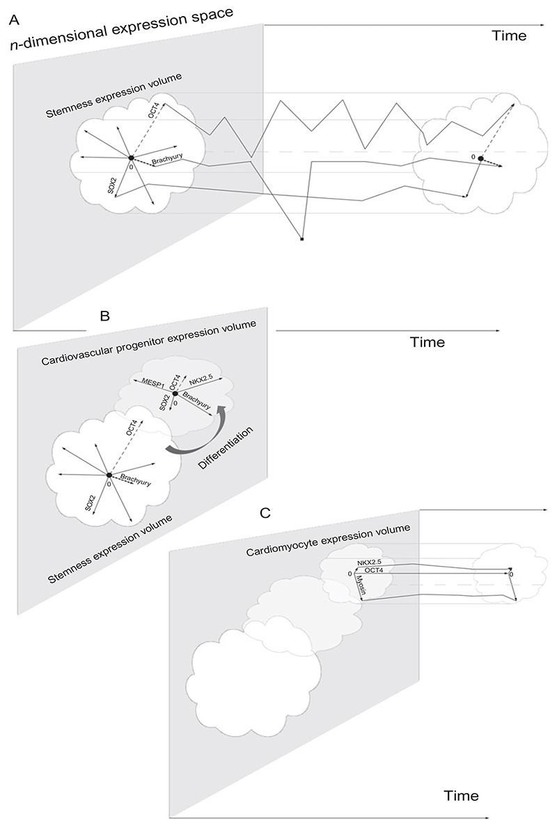 Figure 7.3