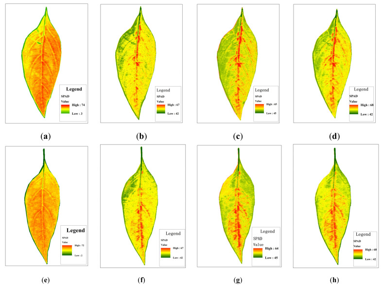 Figure 13