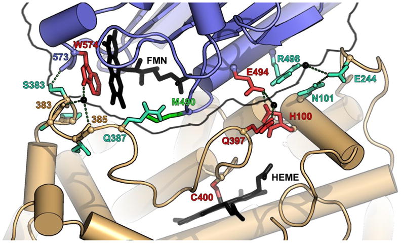 Figure 5