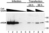 FIG. 8.