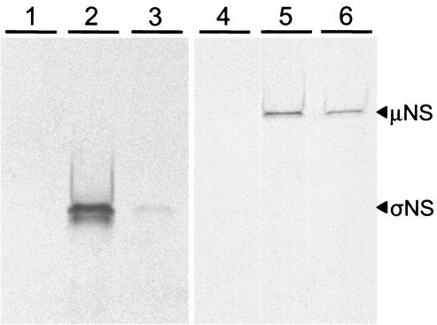 FIG. 10.