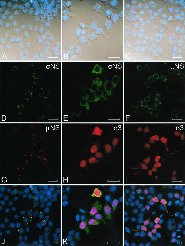 FIG.7.