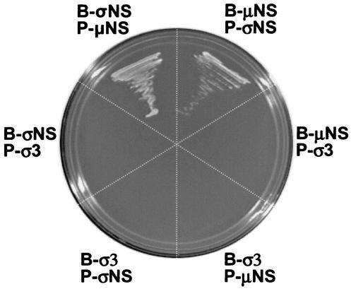 FIG. 9.