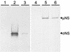 FIG. 10.