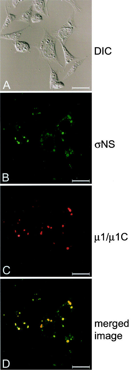 FIG.3.