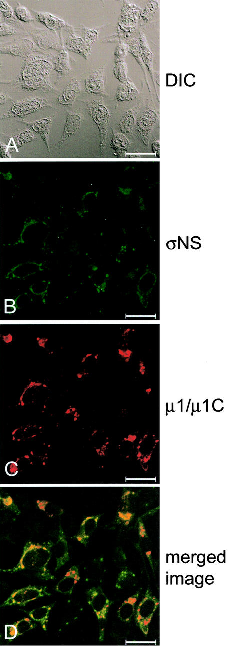 FIG.5.