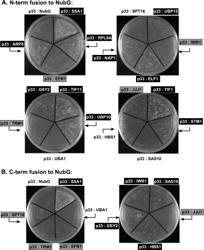 FIG. 3.