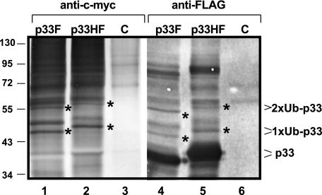 FIG. 10.