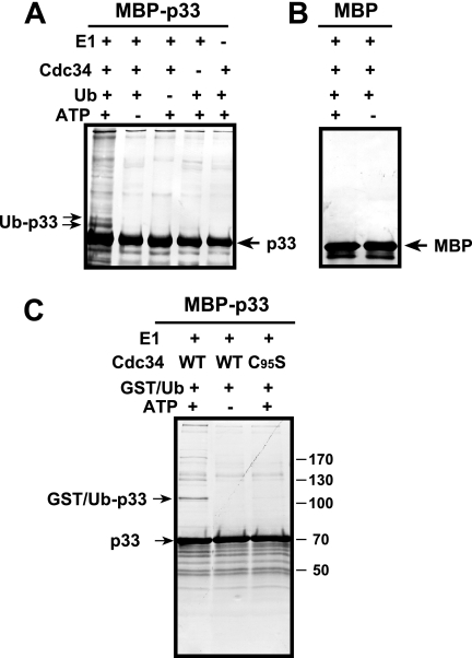 FIG. 9.