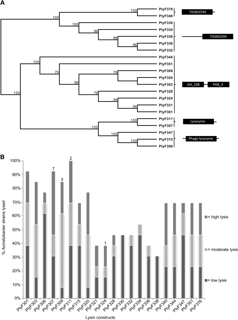 FIG 2