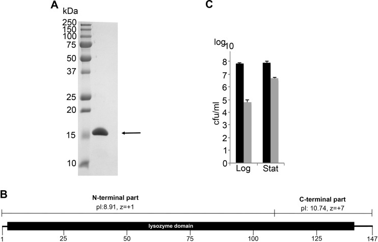 FIG 3