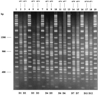 FIG. 1