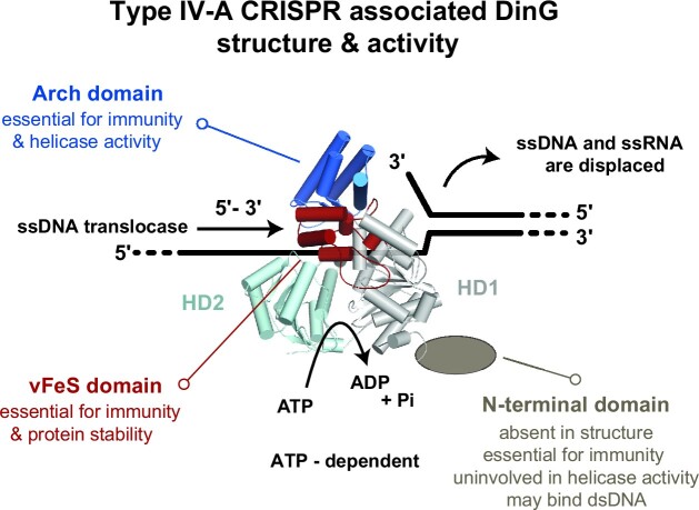 Graphical Abstract