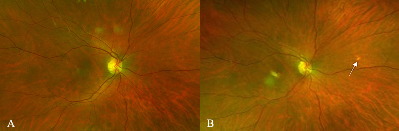 Supplementary Fig. 2