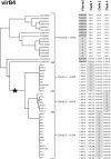 Fig. 6