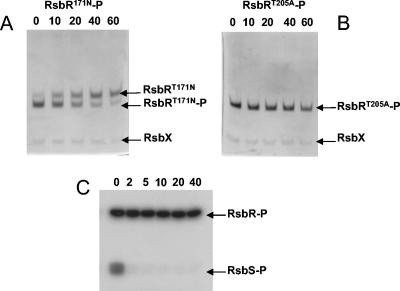 FIG. 5.