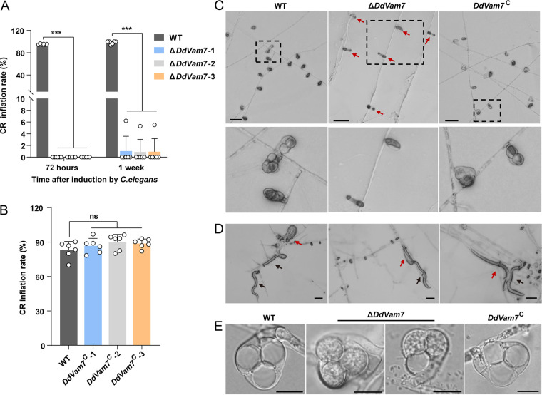 FIG 3