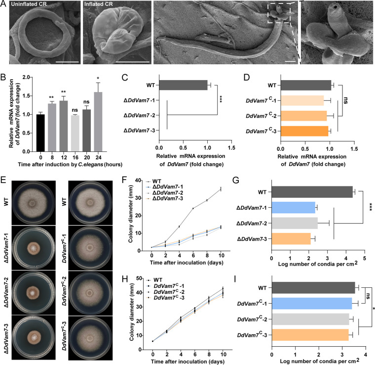 FIG 1