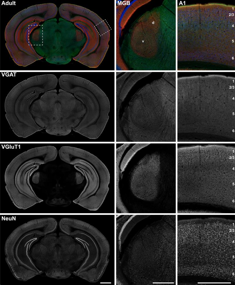 Fig. 17