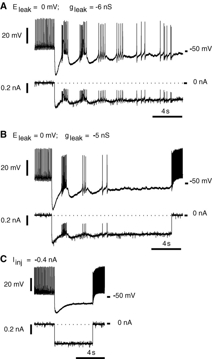 Fig. 10.