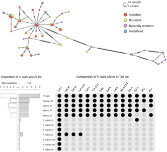 graphic file with name ECE3-13-e10383-g004.jpg