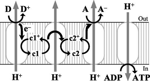 FIG. 1.