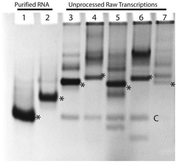 Fig. 9.7