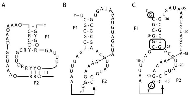 Fig. 9.3